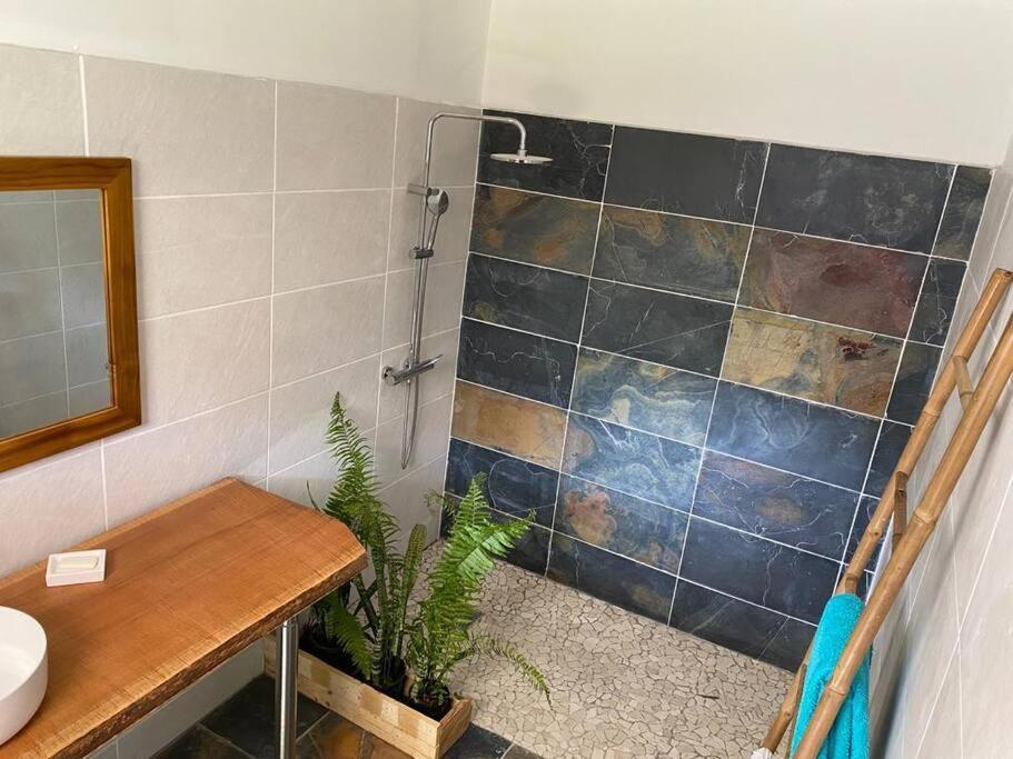 Zayann Zen Apartment Gourbeyre Екстериор снимка
