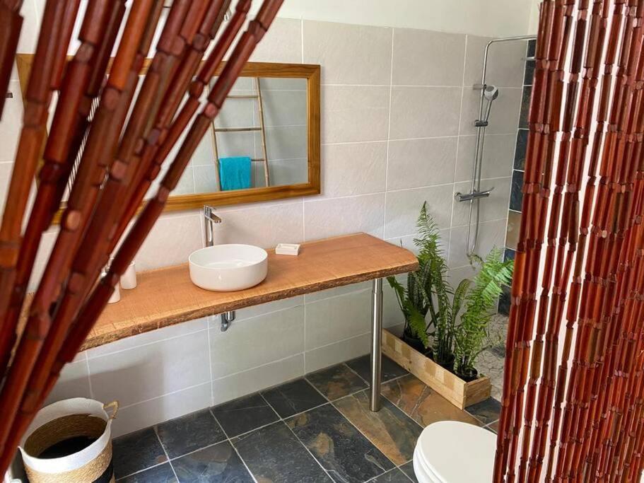 Zayann Zen Apartment Gourbeyre Екстериор снимка